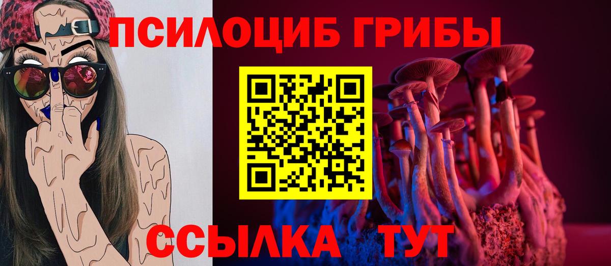 Галлюциногенные грибы Cubensis Россошь